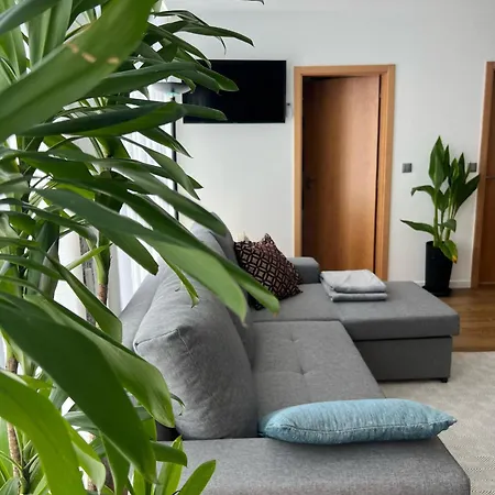 Sequeira Arantes Casa 1 * 特拉什杜博鲁