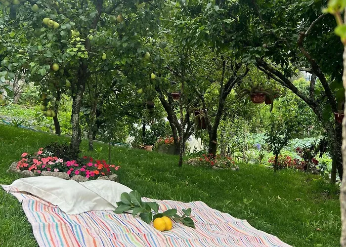 Sequeira Arantes Casa 1 *